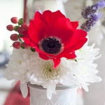 red, white, and blue flowers